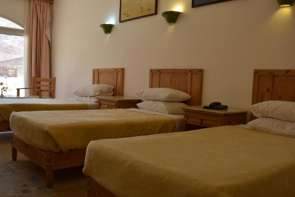 Triple room with three beds and a mountain view window